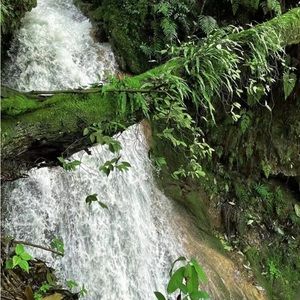 Meet your Posher, Ricky